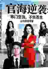 官海逆袭寒门登顶不负众生