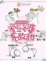 顶级应援：爱豆老婆无敌甜